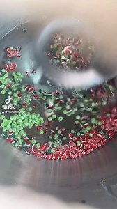 Watch DIY Slime Making Bead Add-Ins on Amazon Live