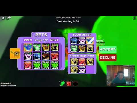 Trading Pets In Ninja Legends On Roblox!