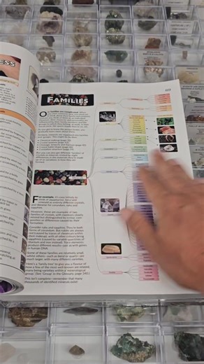 1.6K views · 39 reactions | The Salt Shack Mineral Manual #crystalbook #minerals #geology #crystals #mineralogy | Saltshack | Facebook