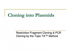 Cloning into Plasmids - SlideServe