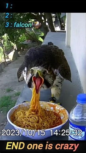 Animals vs Spicy Noodles 🌶️😂#ShortsHASHTAGS:#FunnyAnimals #SpicyChallenge#AnimalComedy #ComedyShorts