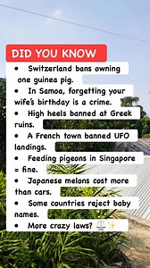 🌍 Strange World Rules You Won’t Believe #worldfacts #countrylaws #funfacts | Amazing Facts