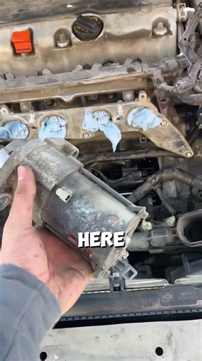 2012 Honda Accord Starter replacement
