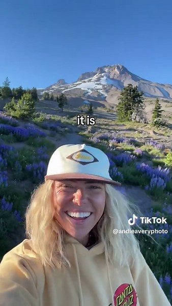 Discover the Beauty of Mount Hood's Wildflowers