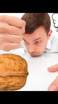 The Nutcracker's Revenge: Epic Nut Shots in Perfect Harmony!