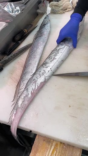 pigpigmomo on TikTok