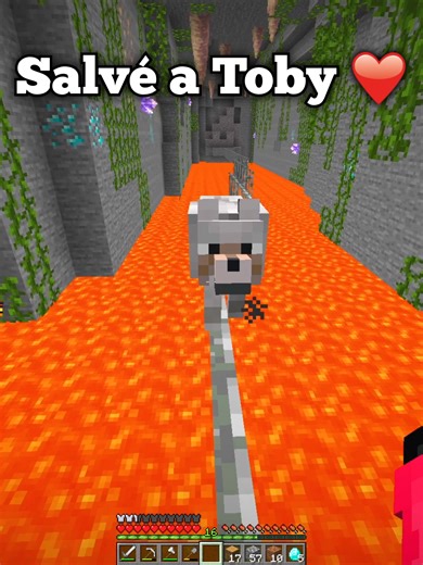 Salvé a mi perro de un Creeper en Minecraft