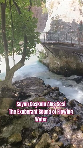 Suyun Coşkuyla Akış Sesi - The Exuberant Sound of Flowing Water