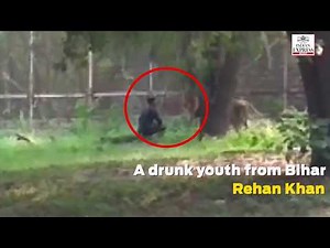 WATCH | Mentally disturbed man falls into lion's enclosure at Delhi Zoo