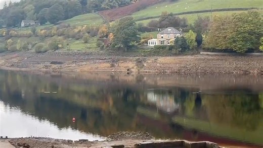 Buzzers everywhere! | Ladybower Fisheries