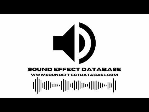 Body Punch Impact Sound Effect