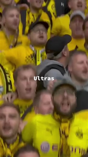 No matter the league, no matter the score — my heart stands in Dortmund, forever loyal, forever loud. #ultras #footballpassion #dortmund #fyp #fyppppppppppppppppppppppp