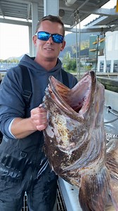 48K views · 1.7K reactions | Giant ling cod filelted using an 8in Dexter Outdoors fillet knife! #lingcod #fishing #seafood | Landshark Outdoors | Facebook