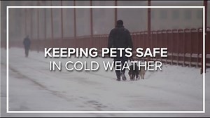 Is your pet ready for Winter Weather?