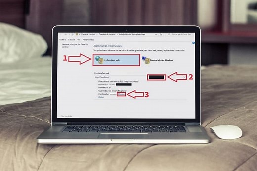 Ver Contraseñas con Administrador de Credenciales Windows 10 2026