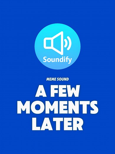 A Few Moments Later Meme Sound Effect