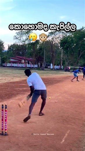කොහොමද කැපිල්ල 😍🙊 #Cricket #Softball #SoftballCricket #SelleHawasWaruwa