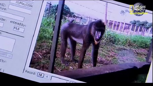 Virus Evolution Amazing Documentary Full HD - National Geographic Documentary 2015