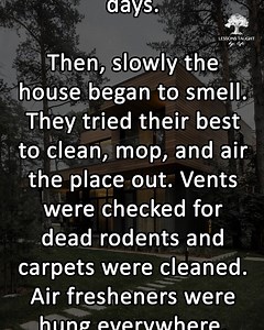 The best revenge ever! | Lessons Taught By Life