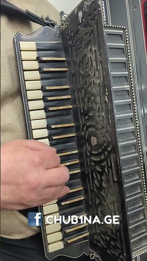 ✔ Georgian Folk Music / გარმონზე შესრულებული ულამაზესი მუსიკა / გარმონი / CHUB1NA.GE #music