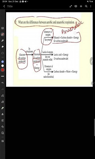 #What are the differences between aerobic and anaerobic respiration.#class10biology