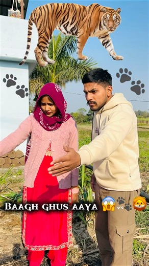 🐅Bagh ke panje🐾dekhke hosh udd gaye… Aaj raat kya hoga??? #ytshorts #ytcreator #shorts #shocking
