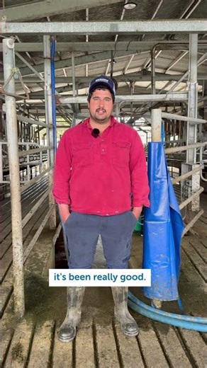 Why Trevor Switched from Iodine to Chlorhexidine Teat Spray