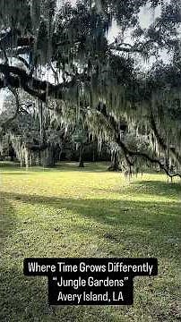 Jungle Gardens Avery Island – Scenic Nature Drive and Walk in Louisiana