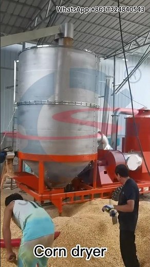 Efficient Corn Drying Process with Heavy-Duty Corn Dryer Machine - Customer Showcase
