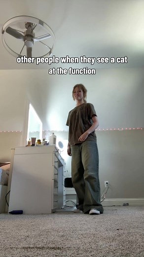 right guys #fyp #cats #funny #relatable #viral | tiger