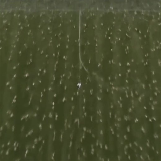 2023 AJ Brown Highlights: Football Skills and Fun