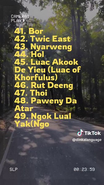 Here’s 56 subdivision of Jieng ( Dinka ) ( Mounyjang ) that makes Jieng nation #southsudantiktokers🇸🇸 #southsudanese #southsudanesetiktokers🇸🇸🇸🇸🇸🇸 #viralvideo #learndinka #nilotic #jiengnation