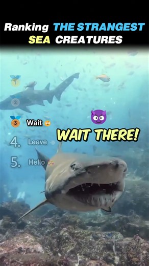 Ranking the STRANGEST SEA CREATURES Core Moments!! 🌊👀
