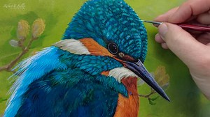 From field, to finished painting, discover how my wildlife film studies inspire my artwork 🦉🎨🖌️ If you are new to this page, welcome and I hope this gives you an idea of the way I work, and, if you already know my story I hope you enjoy this look back at the creation of some of my most popular paintings. Also, do you have a favourite? Let me know in the comments below | Robert E Fuller