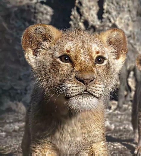 He came to save his son | The Lion King | House of Memories #edit #shorts