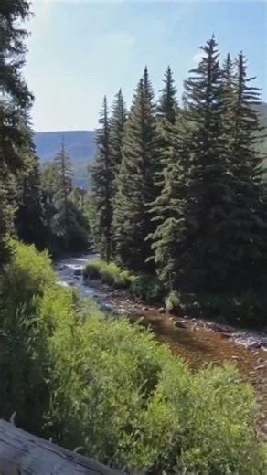 Most visitors walk right past one of Vail’s best-kept secrets.