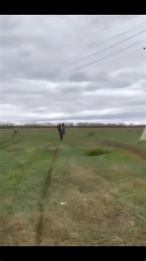 Always have smooth, flush cuts. The CTG-500 is designed to flush cut plastic objects and other materials using its induction-hardened cutting edge. Features: - Flush cuts cable ties, Delta straps, Deltec cable support systems, and other plastic components, preventing accidental scratches or cuts - Spring-loaded for quick and easy cutting -Ergonomically designed handle with dipped plastic grip for greater comfort and torque - Induction-hardened cutting edge Offering America's Best Tool Warranty! 