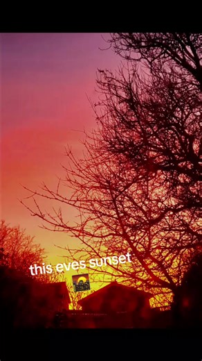 Stephanie Walker (@stephaniewalker)’s videos with original sound - X 183