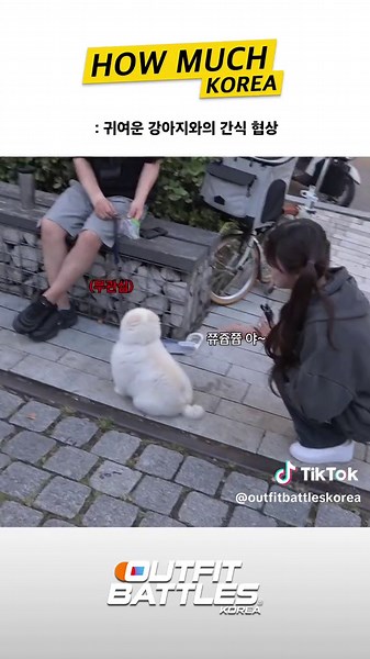 강아지와의 간식 협상: 귀여운 꾸미고처먹기