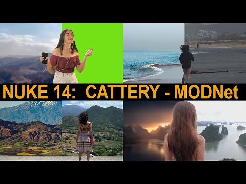 NUKE TUTORIAL - NUKE14 | CATTERY | MODNet