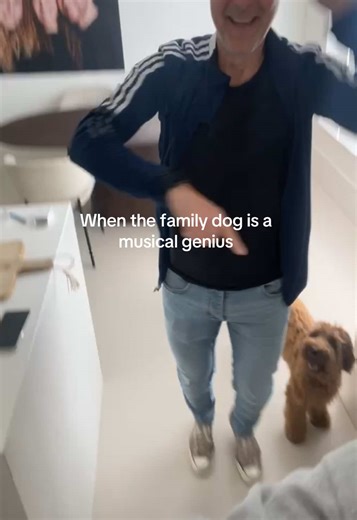 Musical Genius Dog: Meet the Living Legend Pip