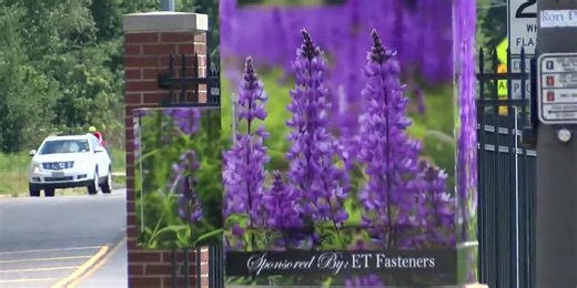 New ‘Beauty and the Box’ art installations unveiled in Tyler