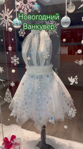 #Канада #Ванкувер #январь2026