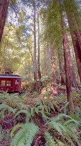 5.1K views · 135 reactions | Take off on an enchanting adventure...