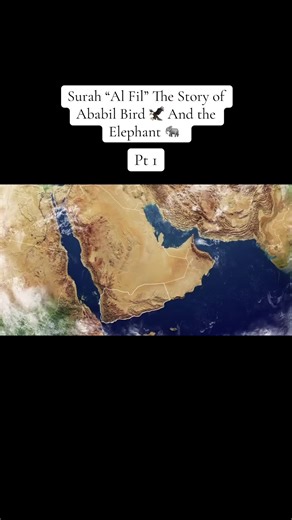 The Story of Ababil Bird and the Elephant in Islam