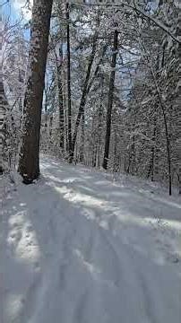 Joy ❄️🥾❄️ #hiking #mentalhealth #nature #alone #sound #snow #beauty #life #asmr #shorts #like #peace