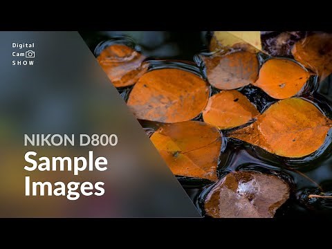 Nikon D800 Sample Images With Camera Settings in photography