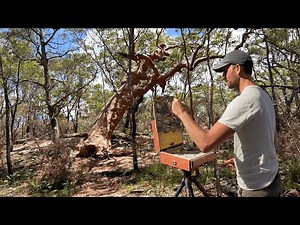 Unfiltered: Painting a Massive Gum Tree in the Australian Heat!