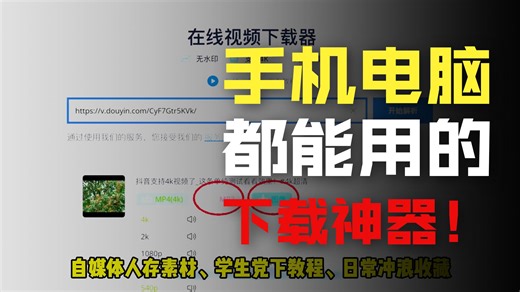 万能视频下载工具Datatool下载器（视频下方简介有安装包）