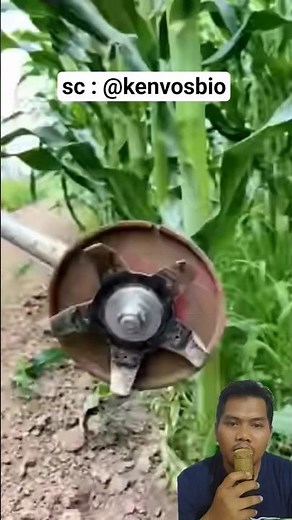 Modern Weed Remover for Smart Farming #farm #tool #crop #weed #modern #machine